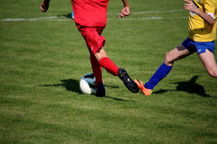 开云·体育官网APP下载-LPL多个队伍重组计划曝光转会期极度混乱，lpl战队转会期